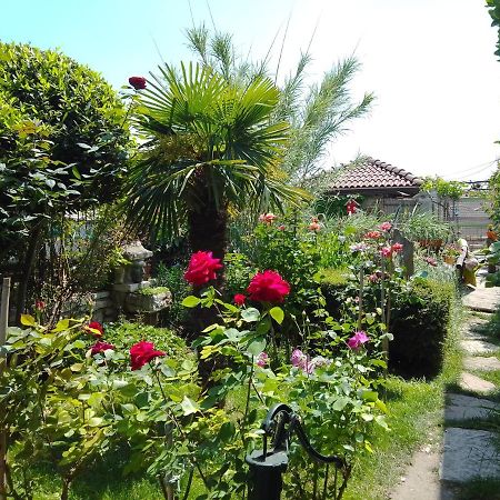 Guest House Amazonia Varna Buitenkant foto