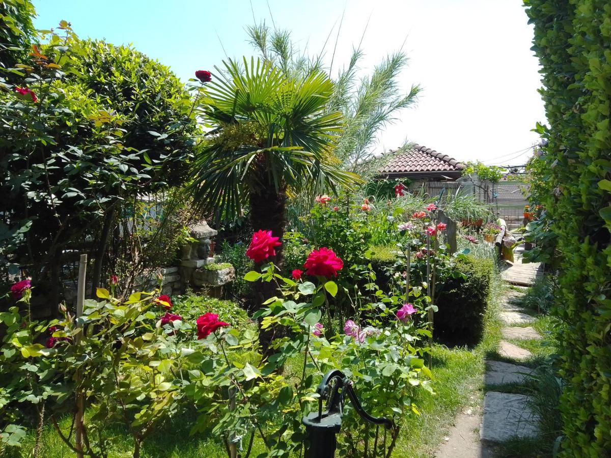 Guest House Amazonia Varna Buitenkant foto