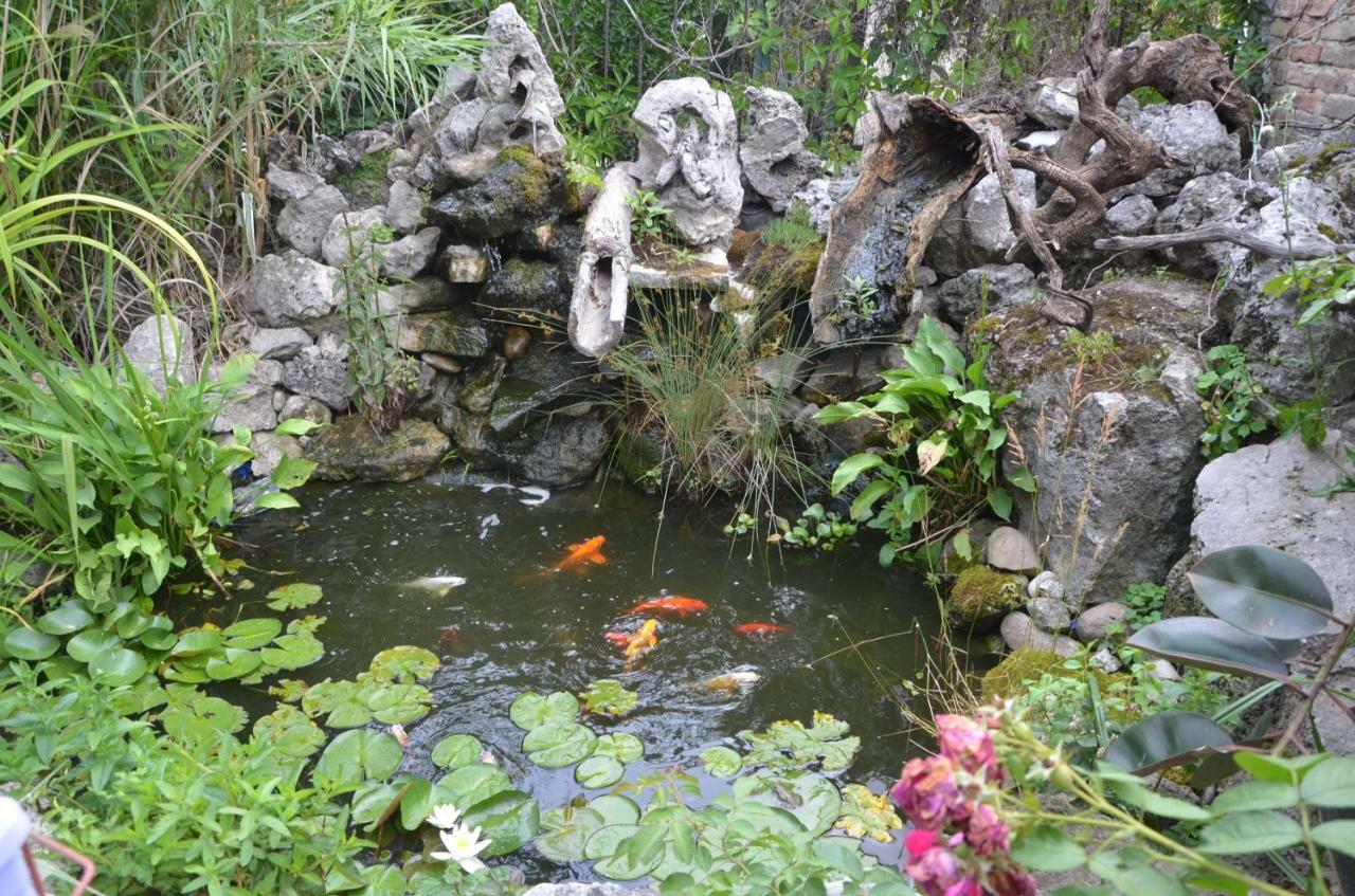 Guest House Amazonia Varna Buitenkant foto